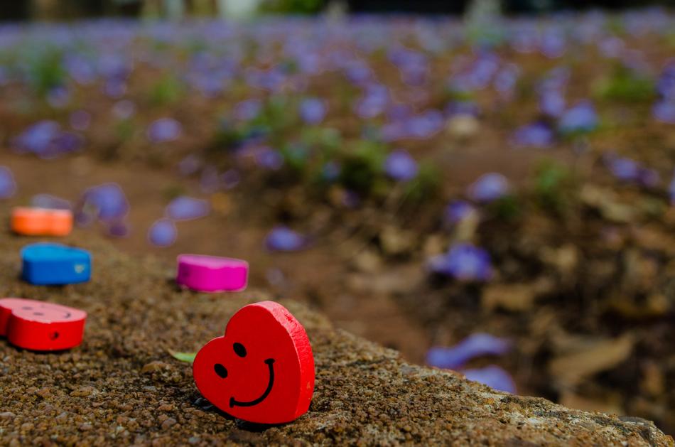 Hearts Smile Soil