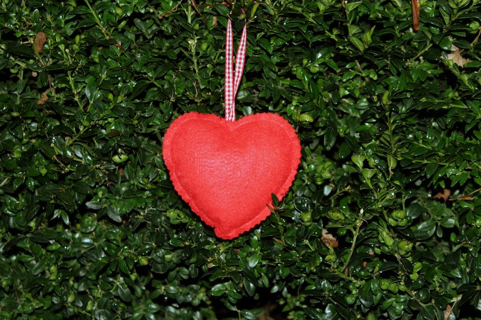 red heart on a green bush