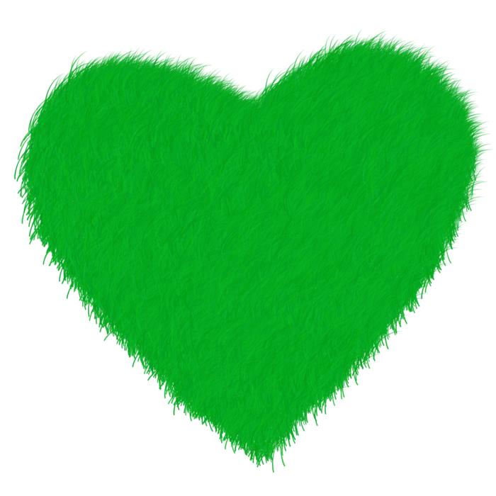 heart as a green grass on white background