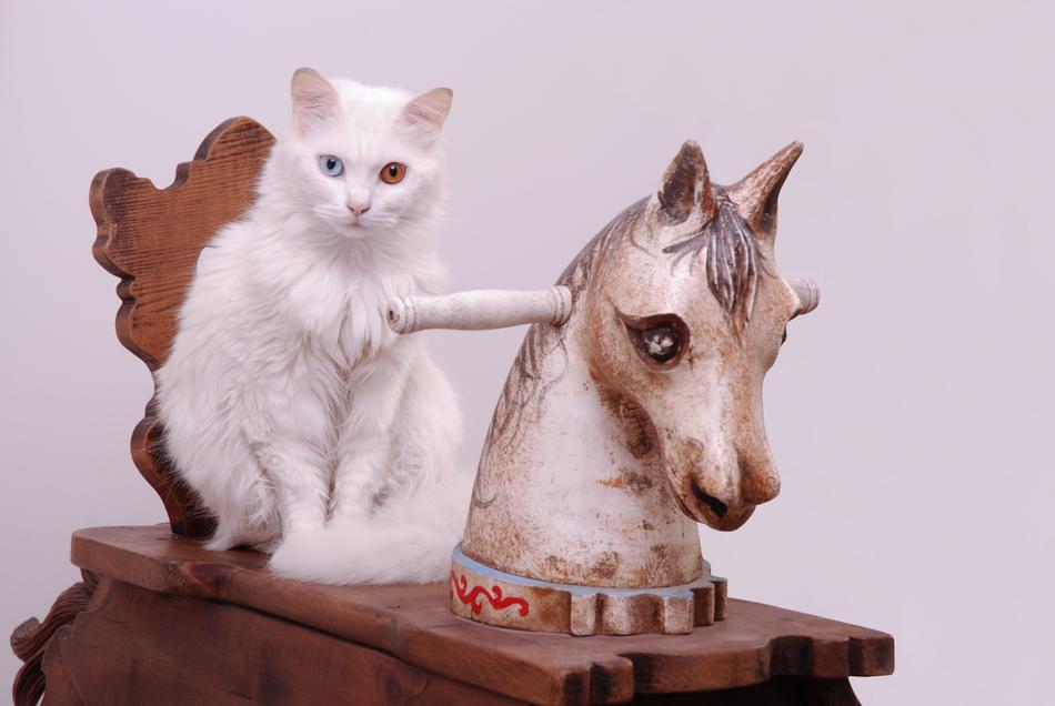 Cat and Blu Rocking Horse figure