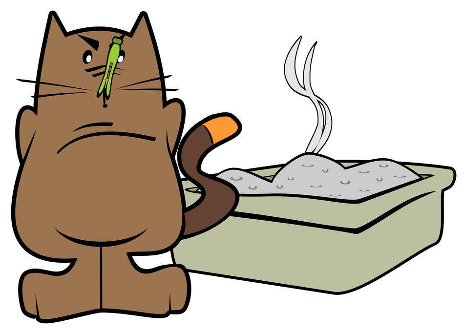 image of a cat near a pot of sand