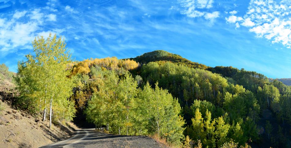 green Autumn Nature landscape