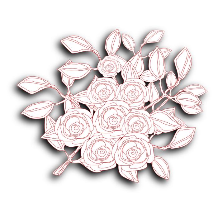 roses flowers illustration