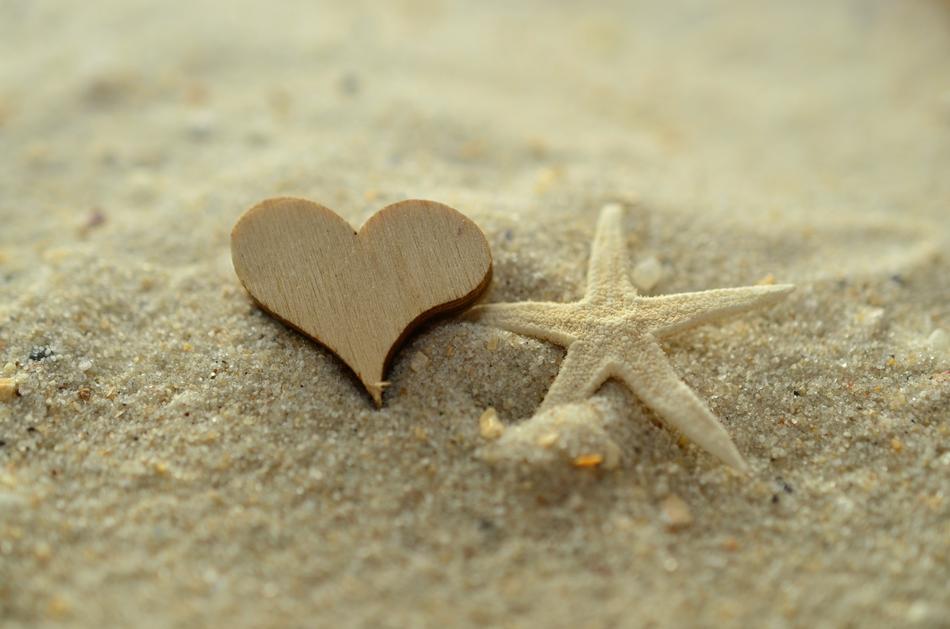 the heart of the mountain near the starfish on the sand