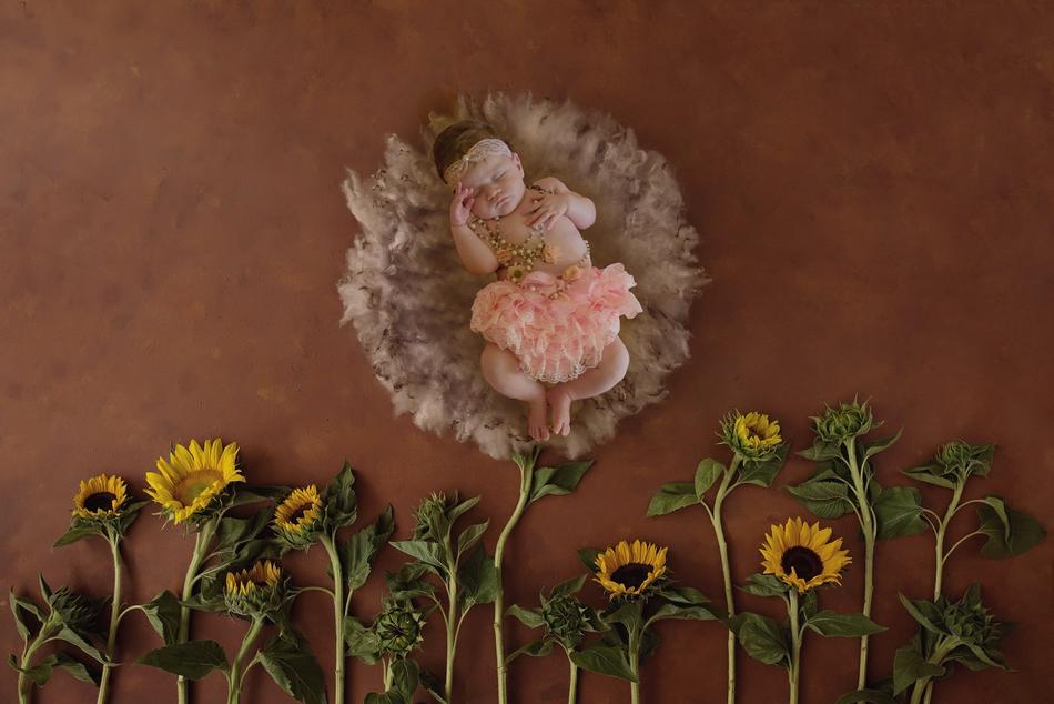 Newborn Prop Photography