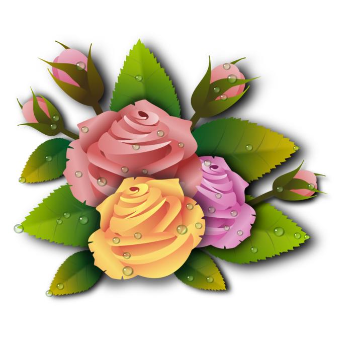 rosarium flowers spring