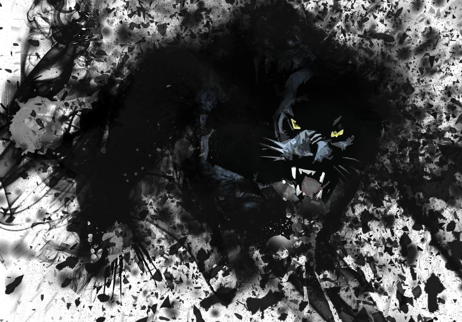 panther ttnte black white feelings