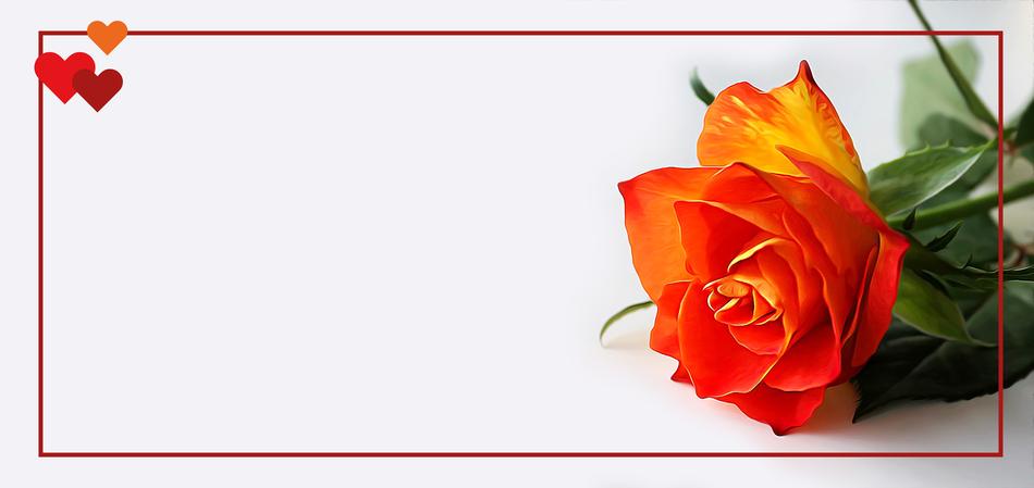 Driven Placecard Wedding