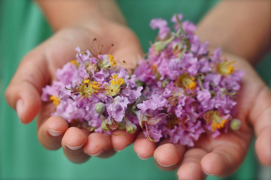 Child in green clothing, holding beautiful and colorful flowers in hands