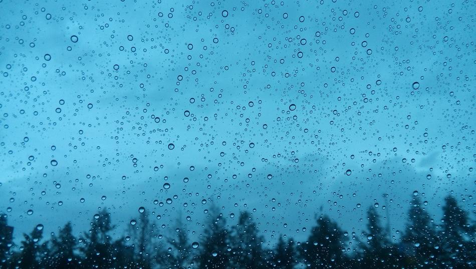 View of the trees, at the rain and hurricane, from the window with water drops
