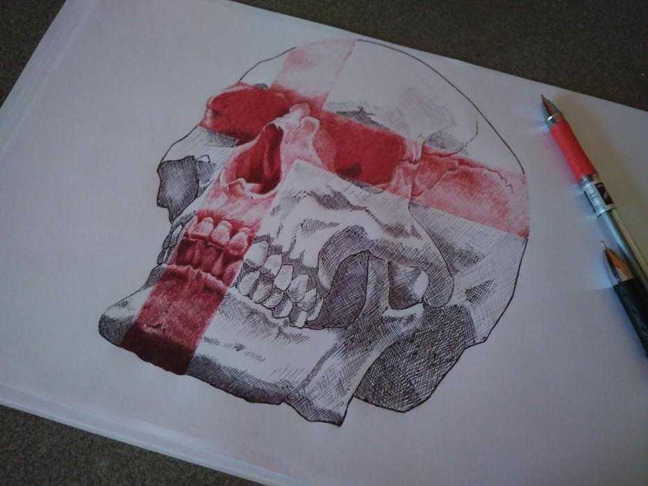 Black and white drawing of human skull in red stripes, near the pen