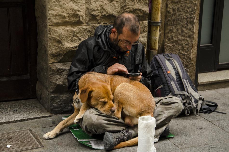 Homeless Puppy Dog and man