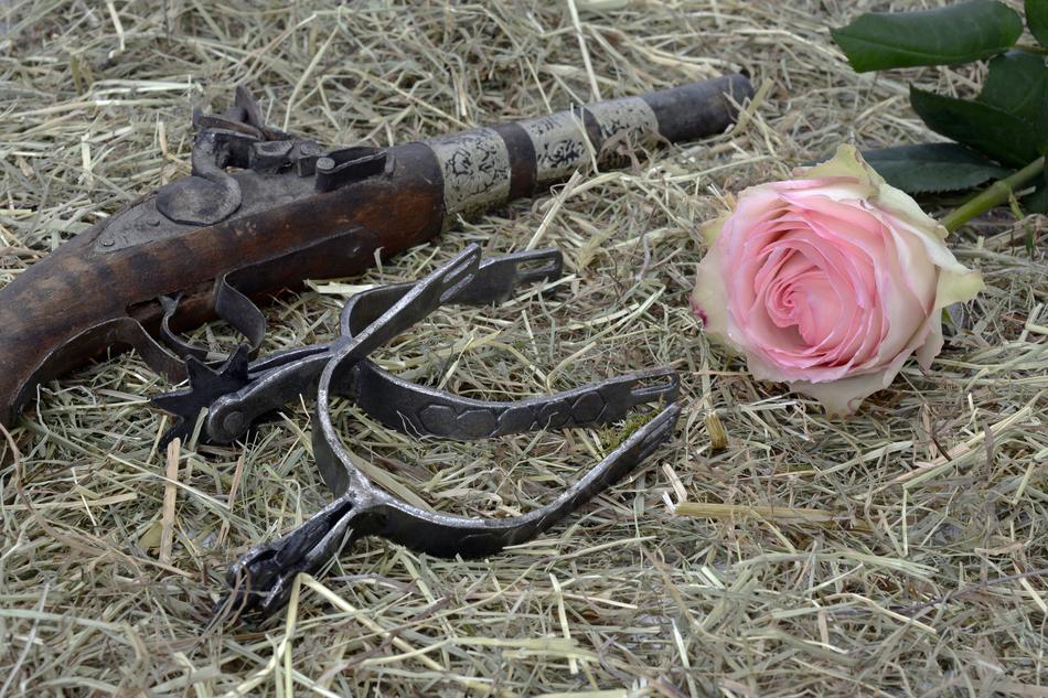Pistol Spores Hay Wild and pinj rose