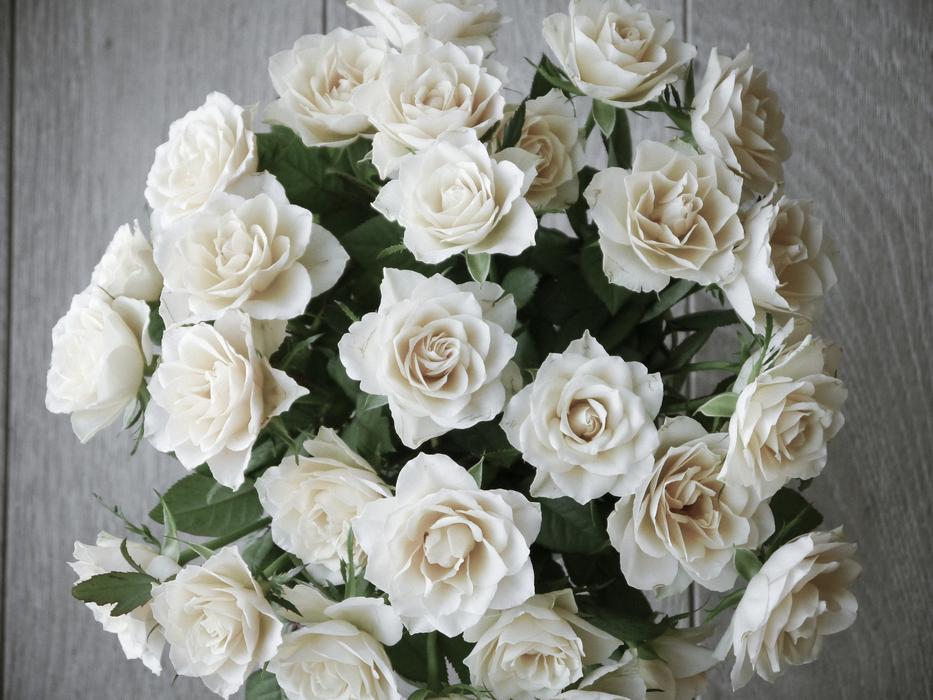 Roses Bouquet Of