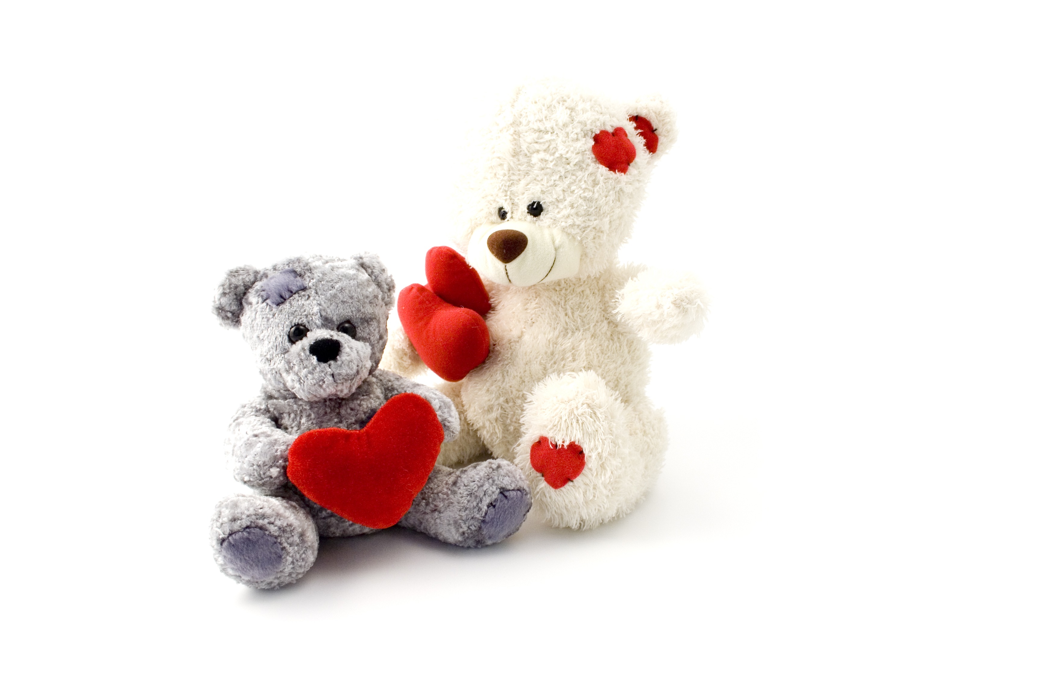 Teddy Bears fluffy toys free image download