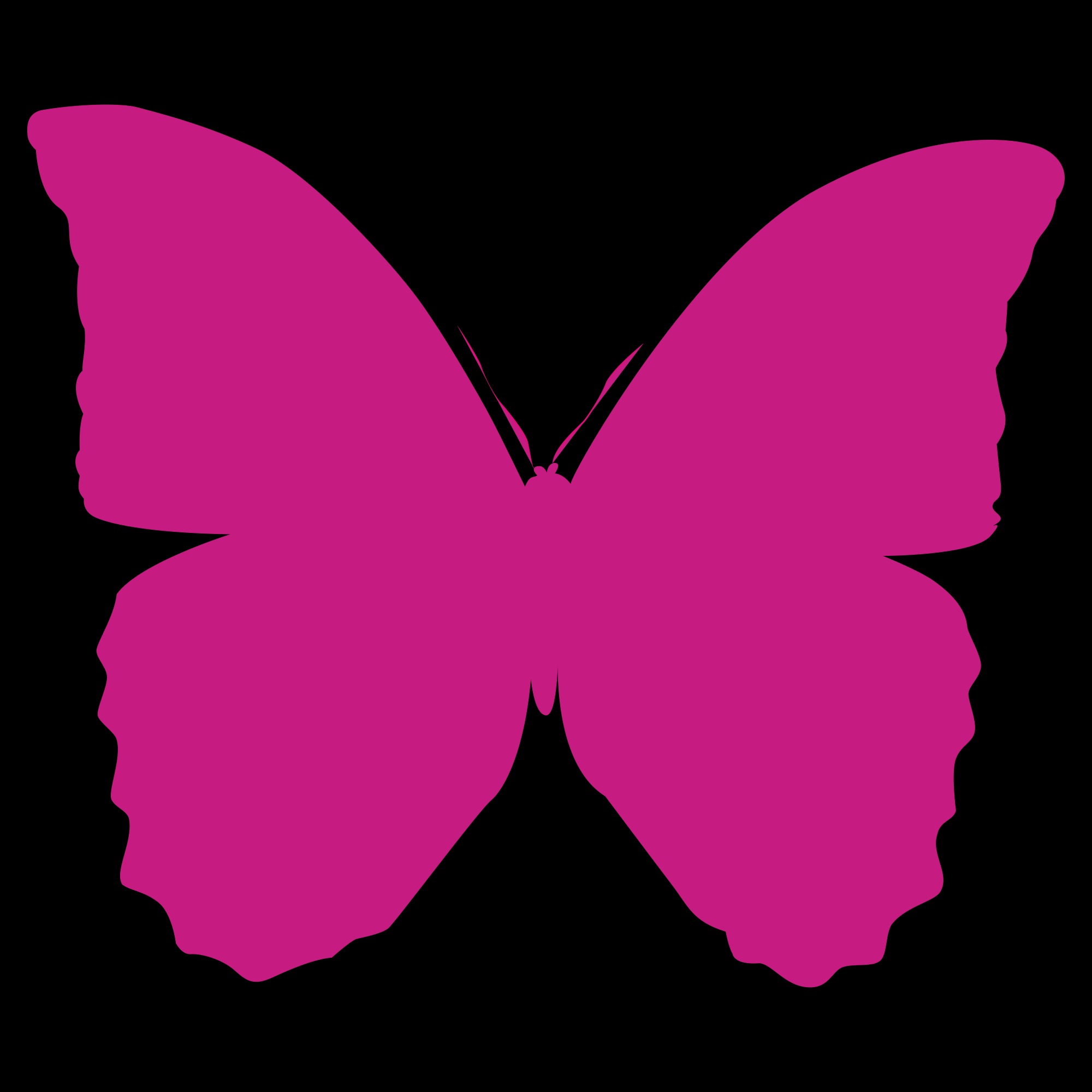 Butterfly emotion feelings love free image download