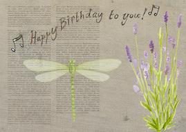 birthday card happy dragonfly design