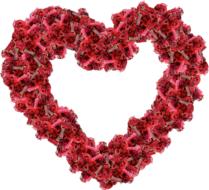 red heart creation