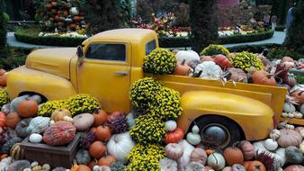 Autumn Harvest Truck