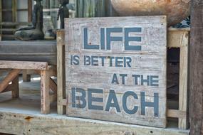 Beach Life Fun