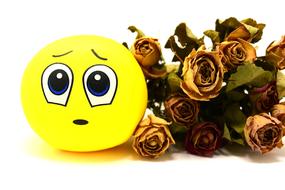 Smiley Sad Roses