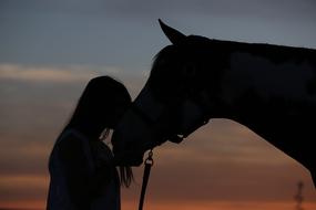 Dusk Silhouette Love