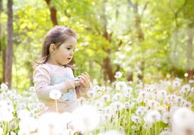 Girl Dandelion Sun