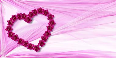 heart of roses on a background of pink tulle