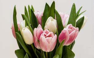 Flowers Bouqet Nature