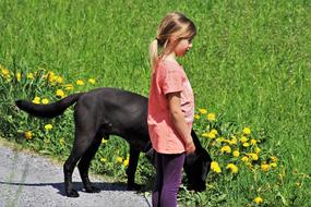 Dog On A Leash Friend