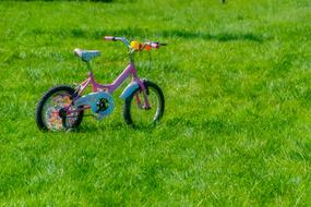 Bicycle Child on grass