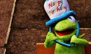 Birthday Congratulations Kermit