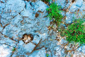 Heart Nature Stone