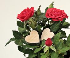 MotherS Day Heart Gratitude Thank