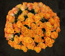 orange rose bouquet close-up