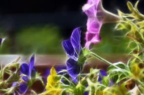 Desktop Leaf Nature