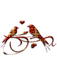 birds beautiful christmas packaged
