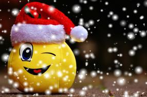 Christmas Smiley Snow