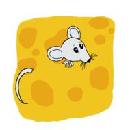 rat mouse cheese animal mammal