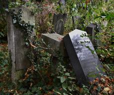 Cemetery Tombstone Death