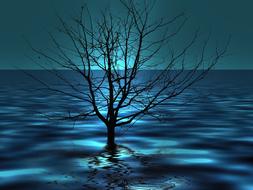 tree in the water against the background of the night sky