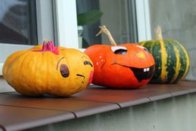 Pumpkins Happy Vegetables