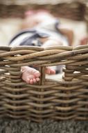 Baby Toes Basket