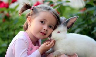 Girl Rabbit Friendship