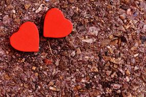 red Heart Valentine Day Love