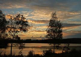 Sunset Pond Nature