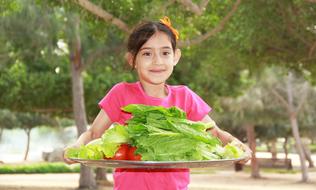 Preparing Testy Salad