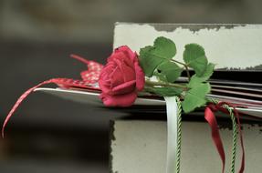 Rose Romance Letters