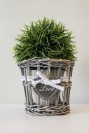 Fake Plant Reed Flower Pot The