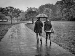 Rain Brasschaat Park